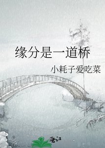緣分是一道橋