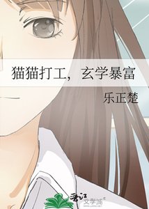 猫猫打工,玄学暴富